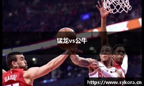 猛龙vs公牛