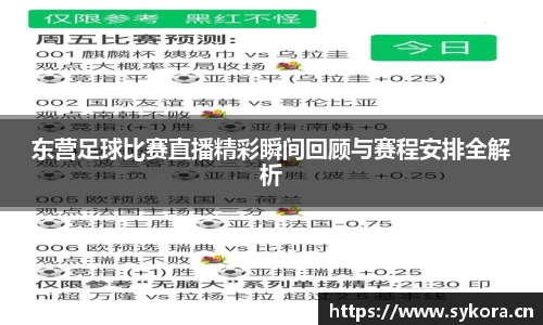 东营足球比赛直播精彩瞬间回顾与赛程安排全解析