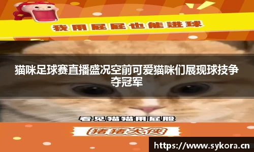 猫咪足球赛直播盛况空前可爱猫咪们展现球技争夺冠军