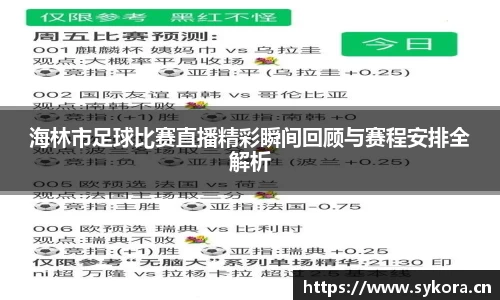 海林市足球比赛直播精彩瞬间回顾与赛程安排全解析